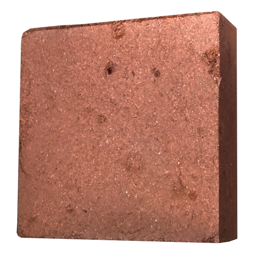 Composting Kit For School Kids